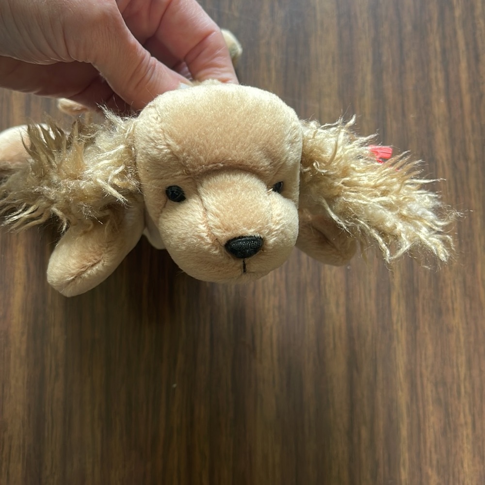 TY “Spunky” 1997